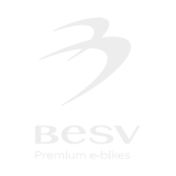 Besv